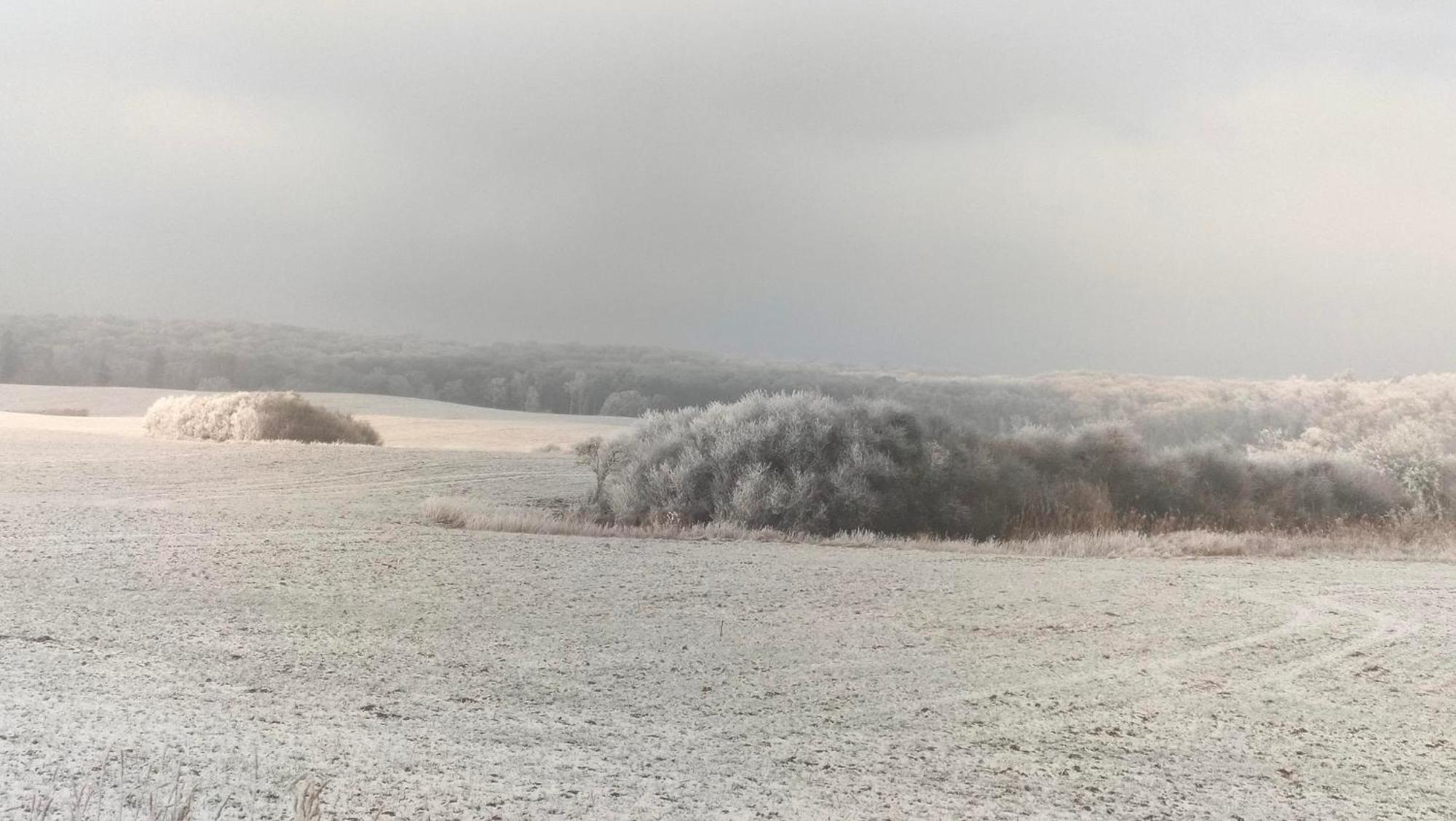Ferienwohnung Uckermarkblick Ziehten Exterior foto